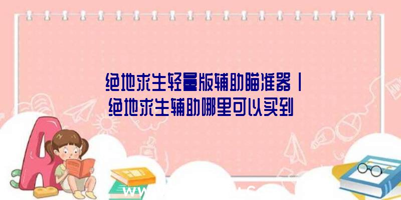 「绝地求生轻量版辅助瞄准器」|绝地求生辅助哪里可以买到